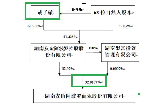 来源：友阿股份年报