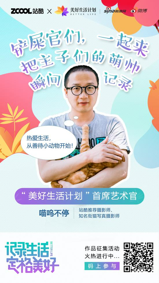 行走的猫薄荷 喵呜不停