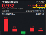 中科曙光大动作！80亿元加码AI！算力租赁强势拉升，紫光股份涨停！大数据ETF华宝（516700）暴涨近5%