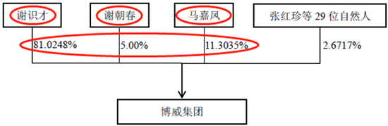 博威集团股权结构
