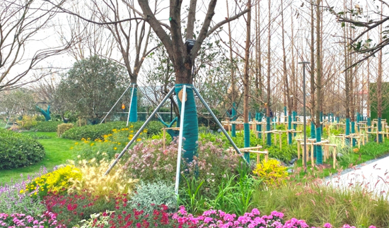 旭辉·太湖彩园示范公区现场图