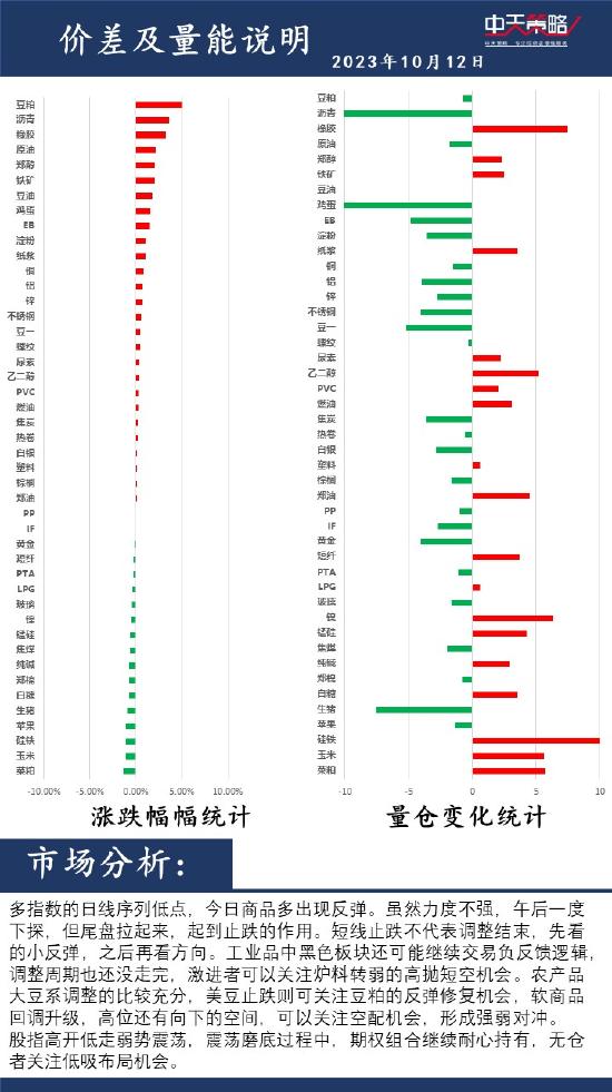 中天策略:10月12日市场分析