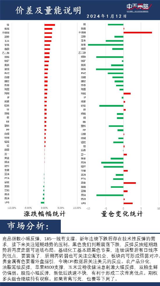 中天策略:1月12日市场分析