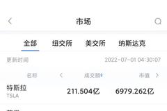 6月30日美股成交额前20：上半年特斯拉股价缩水36.3%