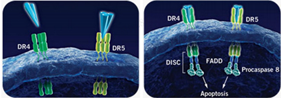 （资料来源：万联证券、网络）
