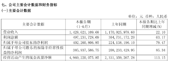来源：华鑫股份2026年半年报