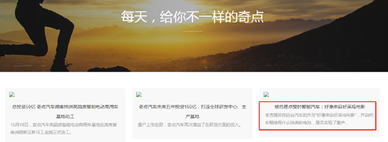 （来源：奇点汽车官方网站截图）