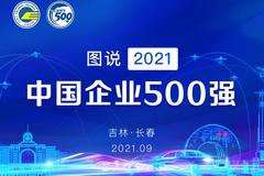 图说2021中国企业500强
