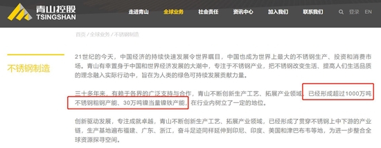 图片来源：青山控股官网截图