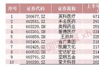 152只个股翻倍最高涨671% A股期中盘点：十大牛股你抓住哪个？