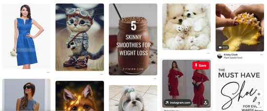 &nbsp;（Pinterest网页截图）