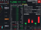 倒车接人？科创芯片震荡两连阴，原因找到