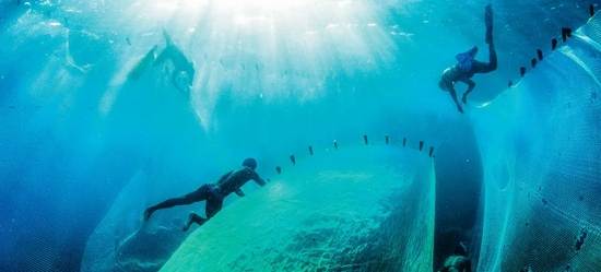 © 联合国开发计划署图片&nbsp;|&nbsp;马达加斯加的渔民潜入海中捕鱼