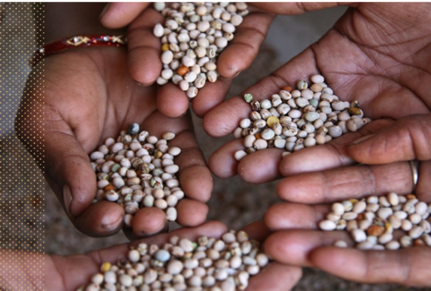 　　图3：英可芬高营养食物基金背后的世界