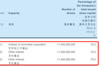 宏安地产暴跌66%近百亿市值蒸发 或因庄家金利丰斩仓