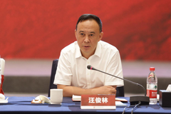 汪俊林：竞合发展是根本，品质安全是底线，做好自己是关键