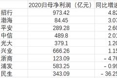 民生银行2020年净利润同比大降36.25% 垫底9家股份行