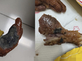 王小卤鸡爪被曝发霉变质上热搜！高价低质遭集体投诉