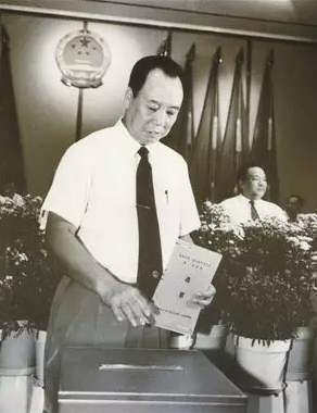 在深圳市第一届一次人代会上举行投票选举，厉有为当选深圳市第一届人大常委会主任。