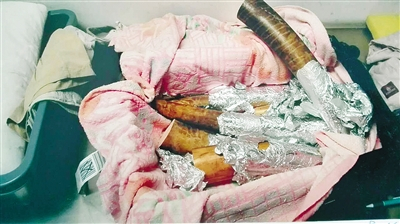 　　从非洲偷带回国的象牙制品，走私者在四中院受审称是“土特产”，法院判决其构成走私珍贵动物制品罪。法院供图