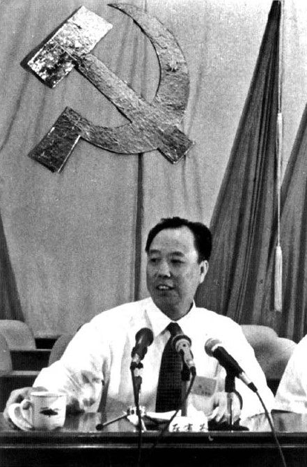 在深圳党代会上（来源：《厉有为文集》）。