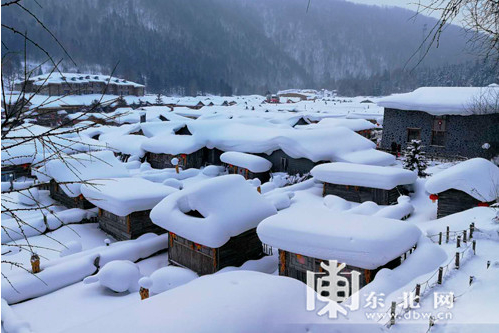 早晨的雪乡，洁白的世界，宁静中透露出淡淡的美。