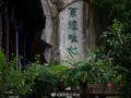 温岭万佛寺：听花落堂前