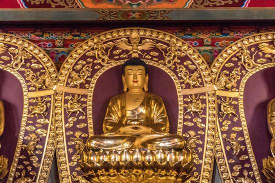 星云大师：诚实的重要（摄影：惜缘法师）