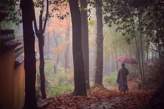 星云大师：不要错失良机（摄影：惜缘法师）