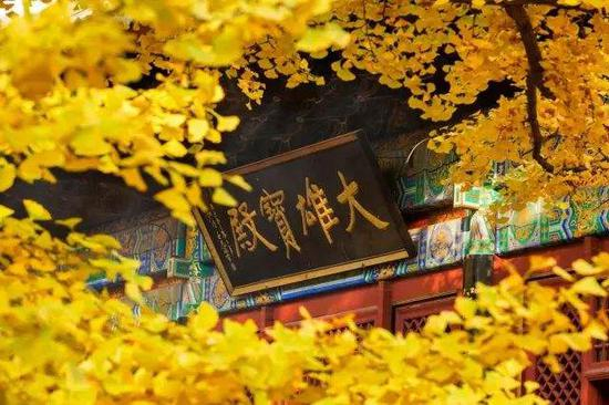 圣严法师：生命的圆融