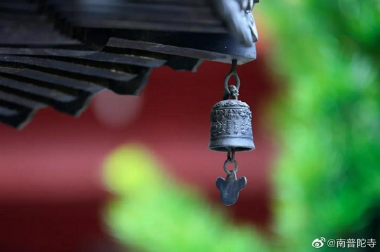 闻思佛法不是增加知识，是改变观念。（来源：南普陀寺）