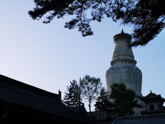 佛陀曾针对每一个从他学法的人，设计了各种让心专注的方法