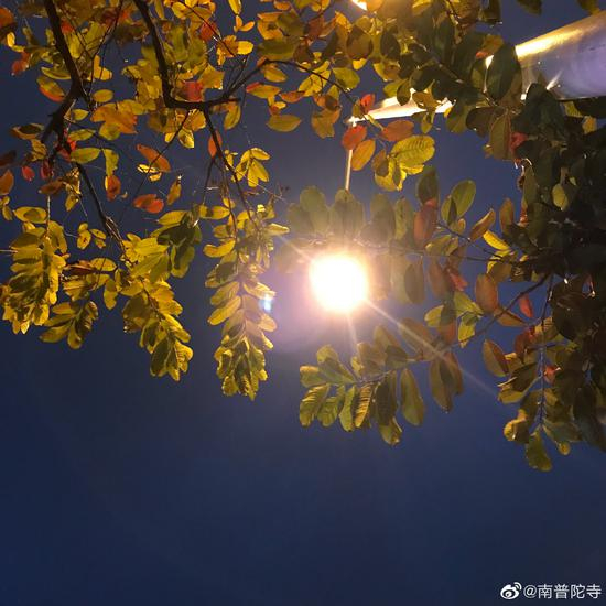 无所畏，这是指的四无畏，无畏就是指教化他人的心没有惧怕。（图片来源：南普陀寺）