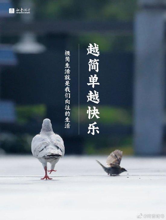 越简单越快乐!极简生活就是向往的生活(图片来源:@弘化社 )