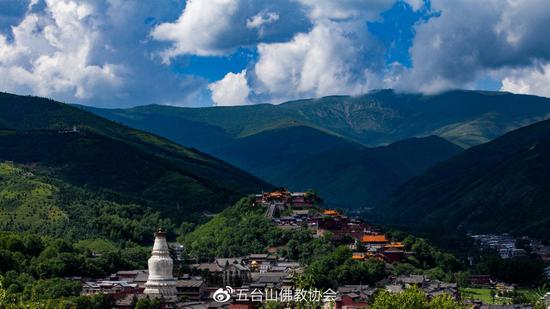 佛经故事：阐陀的证入