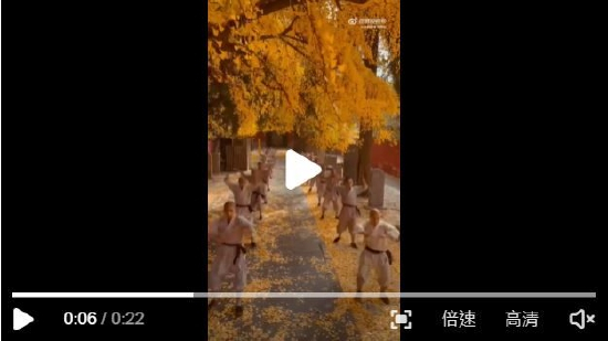 暮秋时节，少林寺武僧银杏树下练武。（来源：少林寺官方网站）