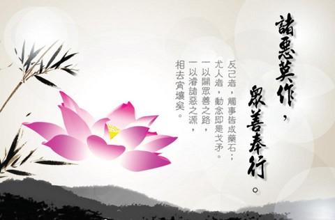 太虚大师:佛法的大要之因果_手机新浪网