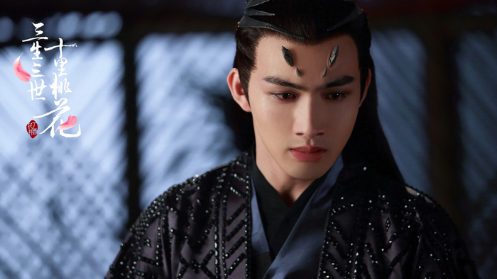 男主陈煜,拥有世子身份,一身古装帅气十足,让人移不开眼,与花不弃的