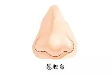 面相—鼻子是装钱的口袋