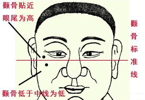 颧即权力,主一个人社会上的名誉地位,还决定一个人的性格和运气