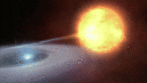 天狼星A将在10亿年后变成红巨星，它会引爆附近的伴星吗？