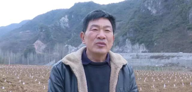 【决战决胜2019】淅川杨朵：扶贫路上 勇挑重担 巾帼不让须眉