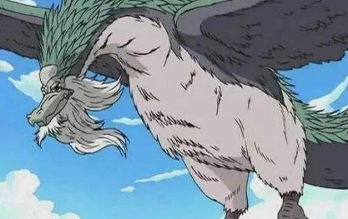 海贼王,这八条龙你都知道吗?两条是招式幻化,一条是罗宾最爱