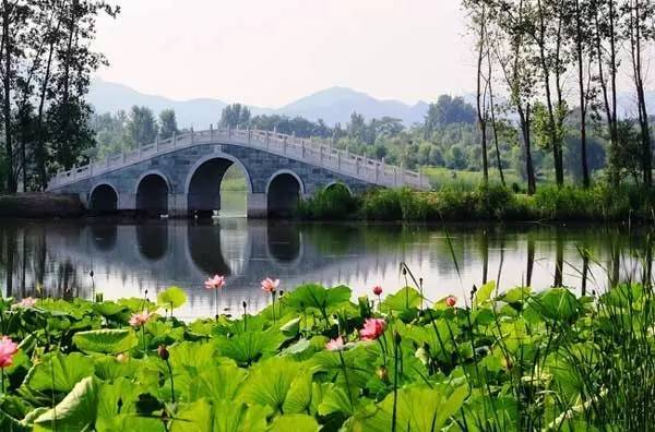 中国石拱桥,传承千年的历史|石桥_新浪新闻