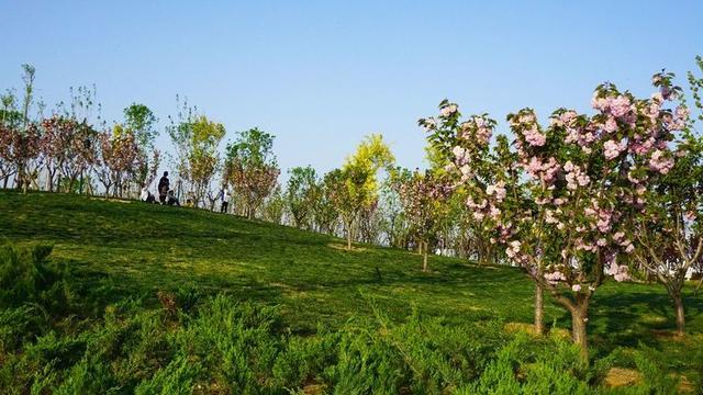 超美的汝州城市中央公園