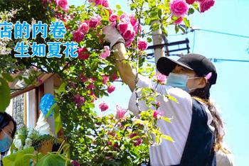 北锣鼓巷寻找网红咖啡店
