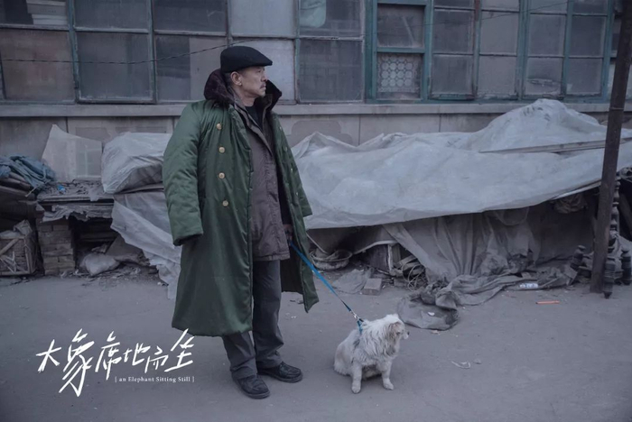 胡波是谁？一个不能到场领取金马奖最佳电影的青年导演