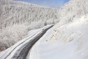 雪乡路上的冰雪仙境