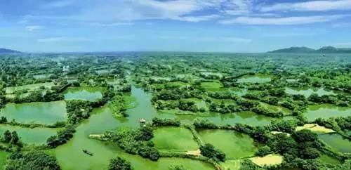 浙江省杭州市西溪湿地旅游区