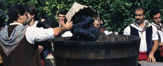 里奥哈葡萄丰收节